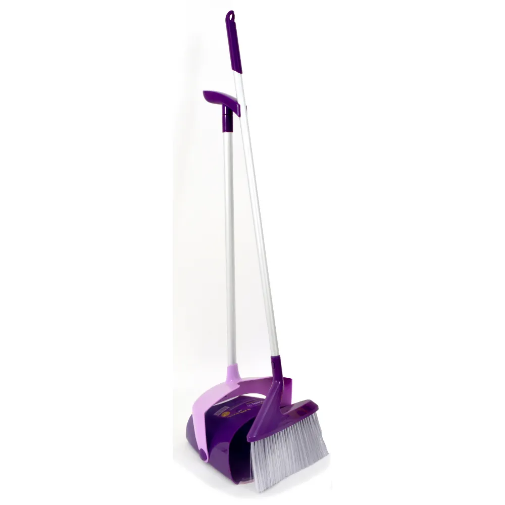 RB Dustpan Brush Set Long Handle